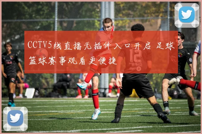 CCTV5线直播无插件入口开启 足球篮球赛事观看更便捷