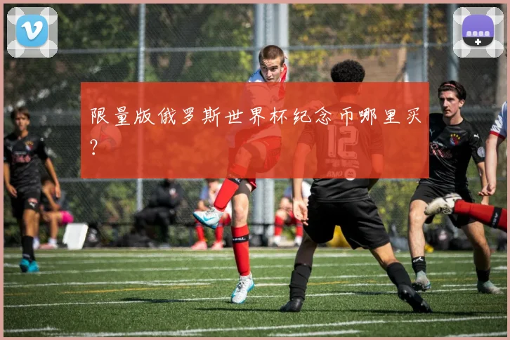 限量版俄罗斯世界杯纪念币哪里买？
