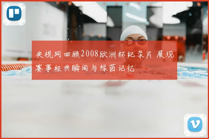 央视网回顾2008欧洲杯纪录片 展现赛事经典瞬间与绿茵记忆