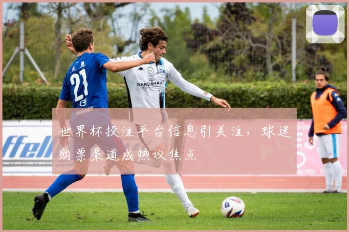 世界杯投注平台信息引关注，球迷购票渠道成热议焦点